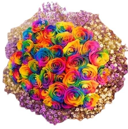 Rainbow Roses with Gypsophila Bouquet - Brighten Your Day with Color ...