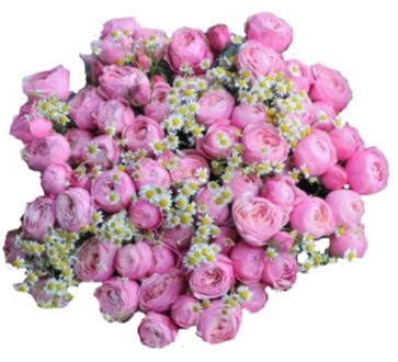 Ranunculus with Daisy Tanacetum Blooms Bouquet