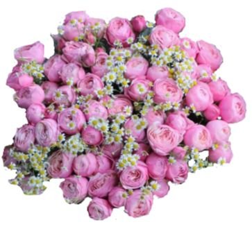 Ranunculus with Daisy Tanacetum Blooms Bouquet - Flowers Box London