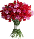 Red and Dark Pink Sweet Pea Bouquet