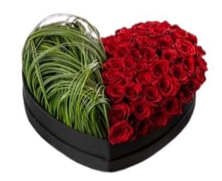 Red and Green Art Box - Flowers Box London