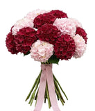 Red and Pink Hydrangea Bouquet - Flowers Box London