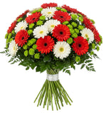 Red and White Gerber with Green Santini Chrysanthemum Bouquet