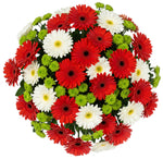 Red and White Gerber with Green Santini Chrysanthemum Bouquet
