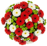Red and White Gerber with Green Santini Chrysanthemum Bouquet