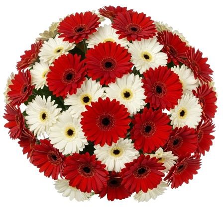Red and White Gerberas Bouquet - Flowers Box London