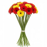 Red and Yellow Gerberas Bouquet