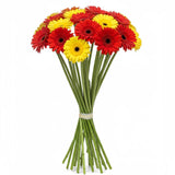 Red and Yellow Gerberas Bouquet - Flowers Box London