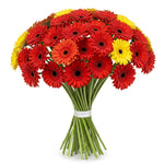 Red and Yellow Gerberas Bouquet