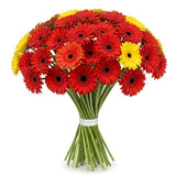 Red and Yellow Gerberas Bouquet - Flowers Box London