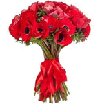 Red Anemone Bouquet