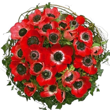 Red Anemone Nest Bouquet - Flowers Box London