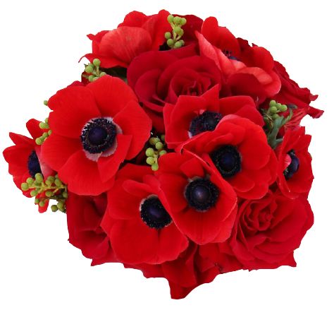 Red Anemone with Roses Bouquet