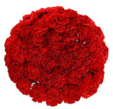 Red Carnations Bouquet - Flowers Box London