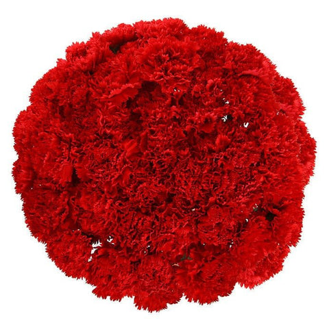 Red Carnations Bouquet - Flowers Box London