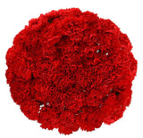 Red Carnations Bouquet