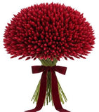 Red Lagurus Bouquet - Flowers Box London