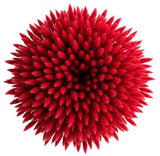 Red Lagurus Bouquet - Flowers Box London