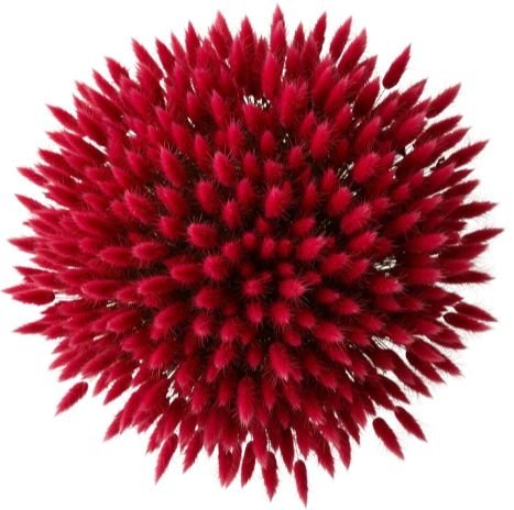 Red Lagurus Bouquet - Flowers Box London