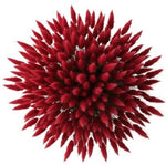 Red Lagurus Bouquet - Flowers Box London