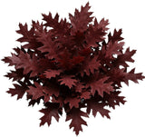 Red Oak Leaves Bouquet - Flowers Box London