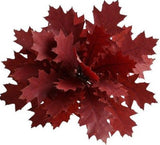 Red Oak Leaves Bouquet - Flowers Box London
