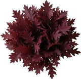 Red Oak Leaves Bouquet - Flowers Box London