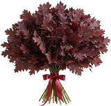 Red Oak Leaves Bouquet - Flowers Box London