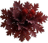Red Oak Leaves Bouquet - Flowers Box London
