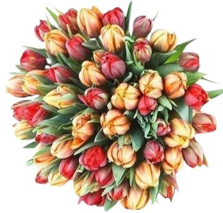 Red & Orange Double Tulips Bouquet - Flowers Box London