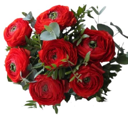 Red Ranunculus with Greenery - Flowers Box London