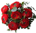 Red Ranunculus with Greenery