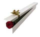 Red Single Rose Luxury Box - Flowers Box London