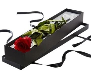 Red Single Rose Luxury Box - Flowers Box London