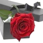Red Single Rose Luxury Box - Flowers Box London