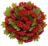 Red Viburnum Compactum Berries Bouquet - Flowers Box London