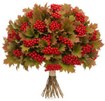 Red Viburnum Compactum Berries Bouquet