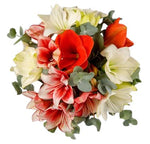 Refined Shades of Amaryllis Bouquet