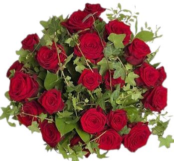 Roses and English Ivy Bouquet