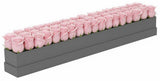 Roses For You Rectangular Box - Flowers Box London