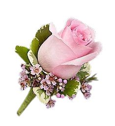 Roses with Wax Flowers Buttonhole