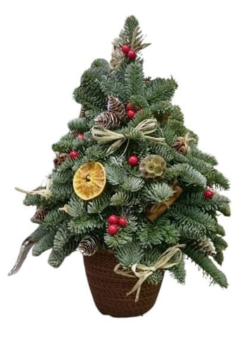 Rustic Blue Spruce Holiday Tree: Decorated with Dried Fruit and Berry - Flowers Box London