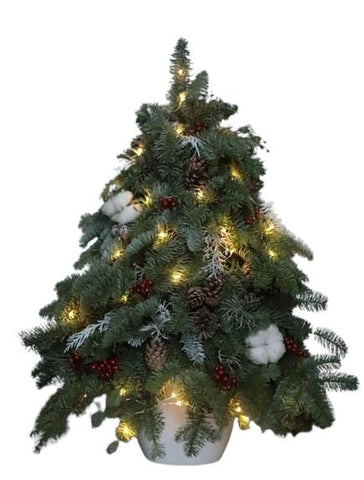 Rustic Tree Arrangement: Adorned with Christmas Lights and Cones - Flowers Box London