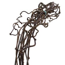 Salix Kiwi Branches – A Unique Touch for Your Holiday Decor - Flowers Box London
