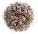 Scabiosa with Tanacetum in Panicum Grass Bouquet - Flowers Box London