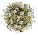 Scabiosa with Tanacetum in Panicum Grass Bouquet - Flowers Box London