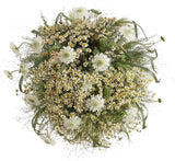 Scabiosa with Tanacetum in Panicum Grass Bouquet - Flowers Box London