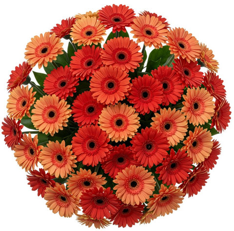 Shades of Orange Gerbera Bouquet - Flowers Box London