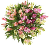 Shades of Pink Alstroemeria Bouquet - Flowers Box London