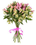 Shades of Pink Alstroemeria Bouquet